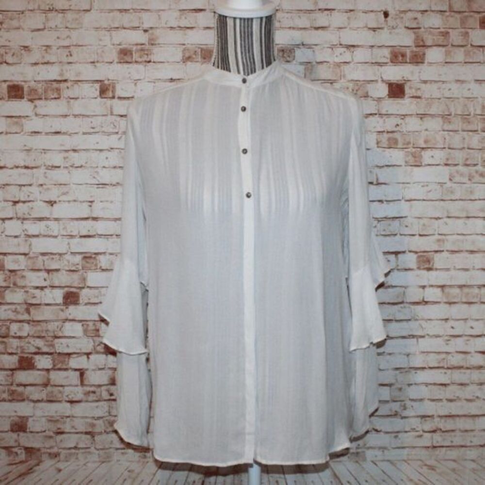 Zara Basic Long Sleeve Button Down Sheer Blouse